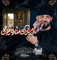 وحید شکری