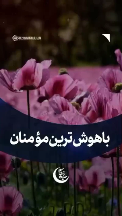 باهوش‌ترین مؤمنان چه کسانی هستند؟