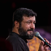 حرم کی بی مدافع مانده یا رب غیر عاشورا
