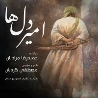 سایر ذاکرین