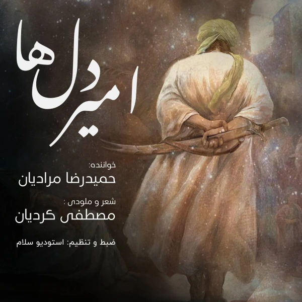 تصویر سایر ذاکرین - امیر دل