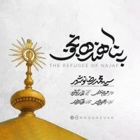 سید محمدرضا نوشه‌ور