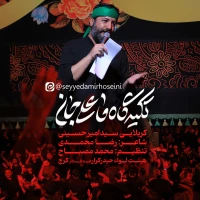 سید امیر حسینی
