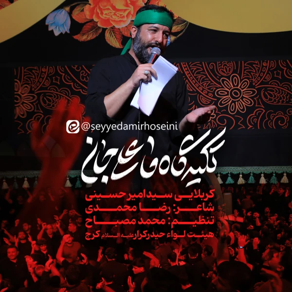 تصویر سید امیر حسینی - تکیه‌گاه ما علی جان