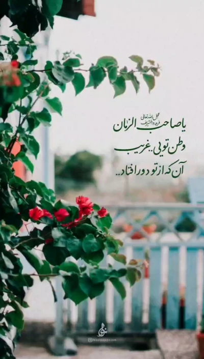یا صاحب الزمان ......