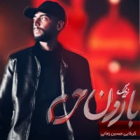 سایر ذاکرین