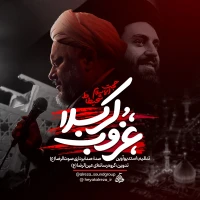 تصویر حجت الاسلام شحیطاط - غروب کربلا