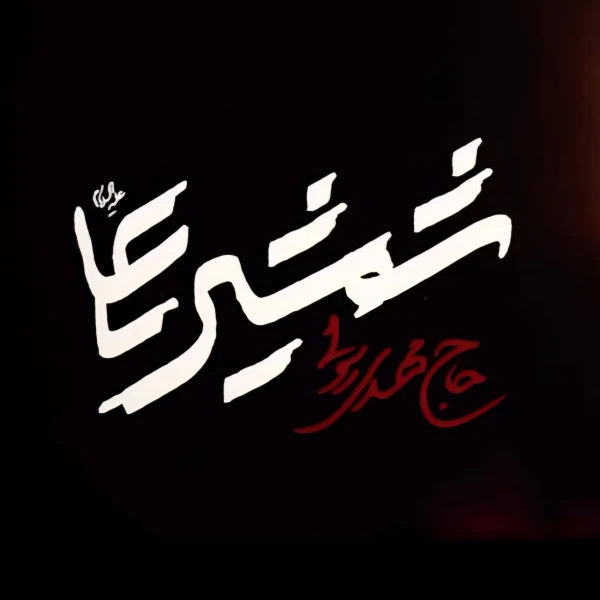 تصویر مهدی رسولی - شمشیر علی