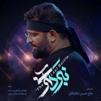 سایر ذاکرین