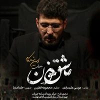 امین شادکام