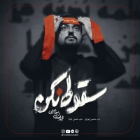 سایر ذاکرین
