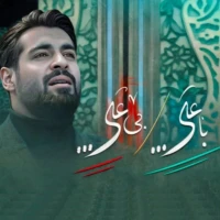 مهدی رعنایی