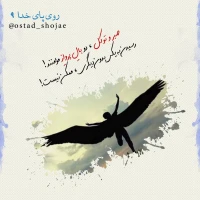 تصویر حجت الاسلام محمد شجاعی - روی پای خدا -9
