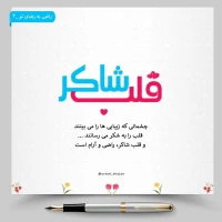 تصویر حجت الاسلام محمد شجاعی - راضی به رضای تو -4