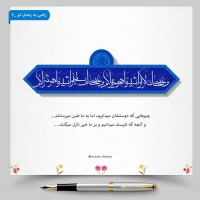 تصویر حجت الاسلام محمد شجاعی - راضی به رضای تو -8