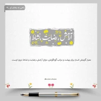 تصویر حجت الاسلام محمد شجاعی - راضی به رضای تو -15