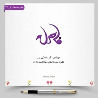 تصویر حجت الاسلام محمد شجاعی - راضی به رضای تو -27