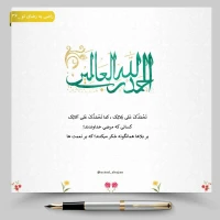 تصویر حجت الاسلام محمد شجاعی - راضی به رضای تو -36