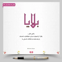 تصویر حجت الاسلام محمد شجاعی - راضی به رضای تو -38
