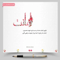 تصویر حجت الاسلام محمد شجاعی - راضی به رضای تو -41