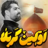 مهدی رعنایی