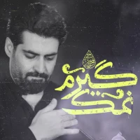 مهدی رعنایی