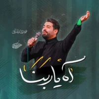مهدی رعنایی
