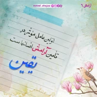 تصویر حجت الاسلام محمد شجاعی - آرامش -6