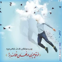 تصویر حجت الاسلام محمد شجاعی - آرامش -10
