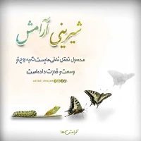 تصویر حجت الاسلام محمد شجاعی - آرامش -15