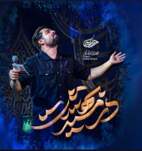مهدی رعنایی