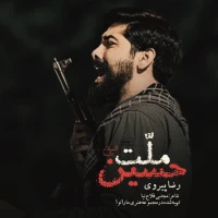 رضا پیروی
