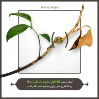 تصویر حجت الاسلام محمد شجاعی - شرح دعای ندبه(قسمت 55)