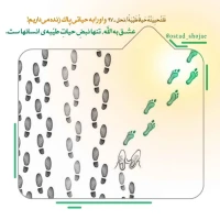 تصویر حجت الاسلام محمد شجاعی - انسان شناسی (قسمت 32)