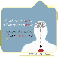 تصویر حجت الاسلام محمد شجاعی - انسان شناسی (قسمت 166)