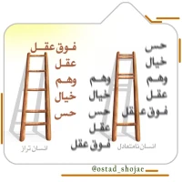تصویر حجت الاسلام محمد شجاعی - انسان شناسی (قسمت 206)