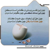 تصویر حجت الاسلام محمد شجاعی - انسان شناسی (قسمت 247)