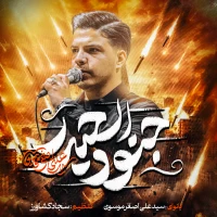 سایر ذاکرین