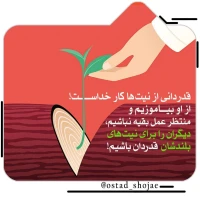 تصویر حجت الاسلام محمد شجاعی - انسان شناسی (قسمت 356)