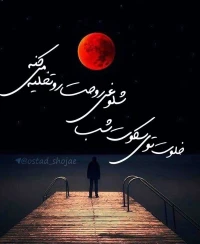 تصویر حجت الاسلام محمد شجاعی - سکوت و جدل -21