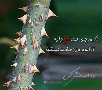 تصویر حجت الاسلام محمد شجاعی - سکوت و جدل -35