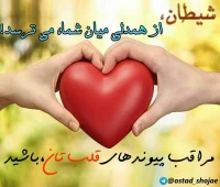 تصویر حجت الاسلام محمد شجاعی - شیطان شناسی -15