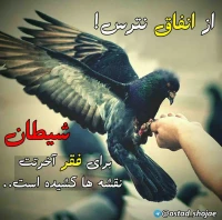 تصویر حجت الاسلام محمد شجاعی - شیطان شناسی -23