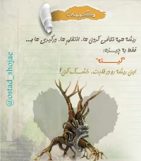 تصویر حجت الاسلام محمد شجاعی - کینه سرطان روح -5