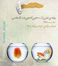 تصویر حجت الاسلام محمد شجاعی - کینه سرطان روح -17