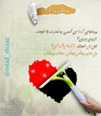 تصویر حجت الاسلام محمد شجاعی - کینه سرطان روح -24