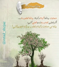 تصویر حجت الاسلام محمد شجاعی - کینه سرطان روح -34
