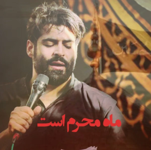 تصویر مهدی رعنایی - ماه محرم است