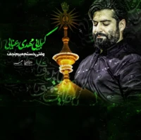 وقتی خستم میرم نجف