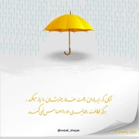 تصویر حجت الاسلام محمد شجاعی - باران رحمت -7